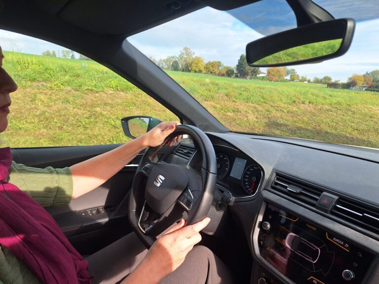 Autofahrer